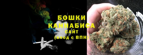 трава Арсеньев