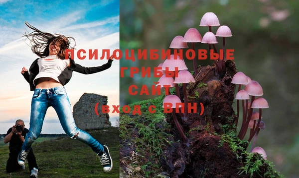 стафф Армянск