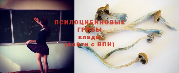 трава Арсеньев