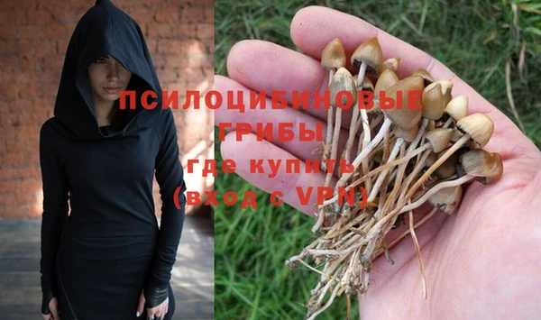 первитин Саяногорск