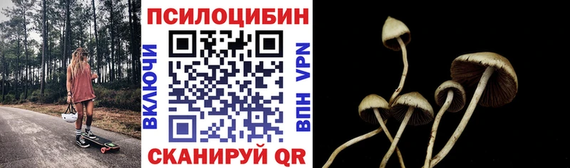 Галлюциногенные грибы Cubensis  купить наркотик  Углегорск 